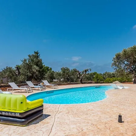 Olive Tree