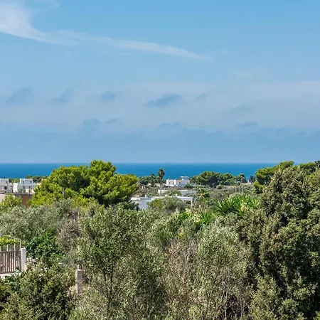 Villa Olive Tree Torre Suda